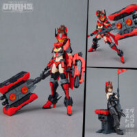 RAIDER OF SHADOW RS-02 Ox 1/12