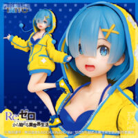 Re:Zero - Starting Life in Another World - Precious Figure Rem ~Mokomoko Hoodie Ver.~ Renewal