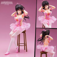 Anmi Illustration "Flamingo Ballet Group" Ponytail Girl