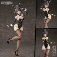 RA-03 Panzer Bunny Anneliese 1/12