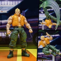 Storm Arena Street Fighter Alpha 3 Nash