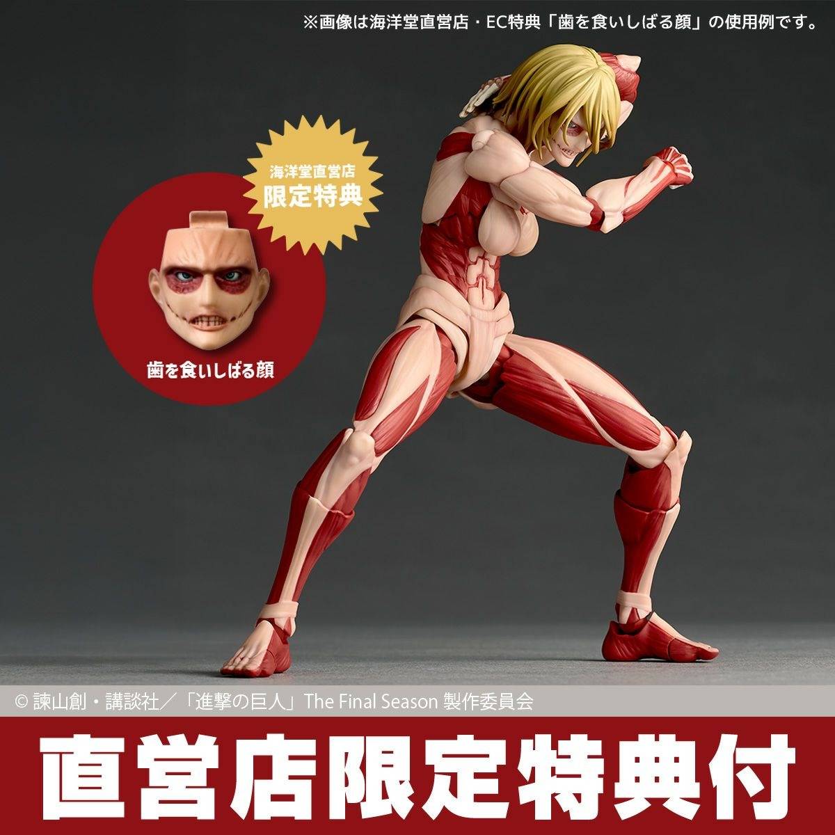 Revoltech Amazing Yamaguchi Attack on Titan - Female Titan + BONUS - Image 7